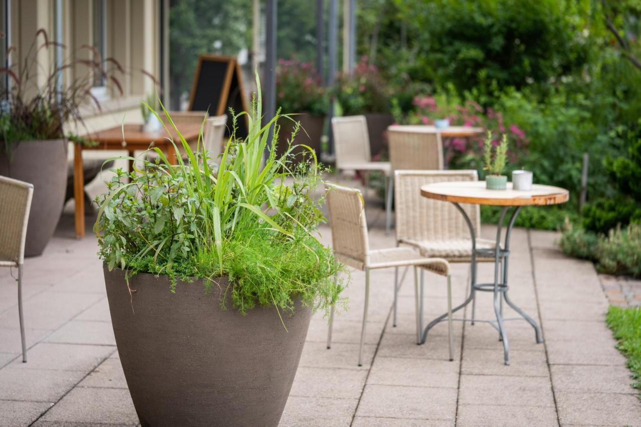 Vegan Health Hotel Sonnenberg Glutenfrei Schwellbrunn Exterior foto